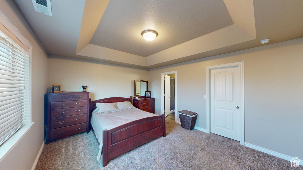 Bedroom with a raised ceiling, carpet, and baseboards