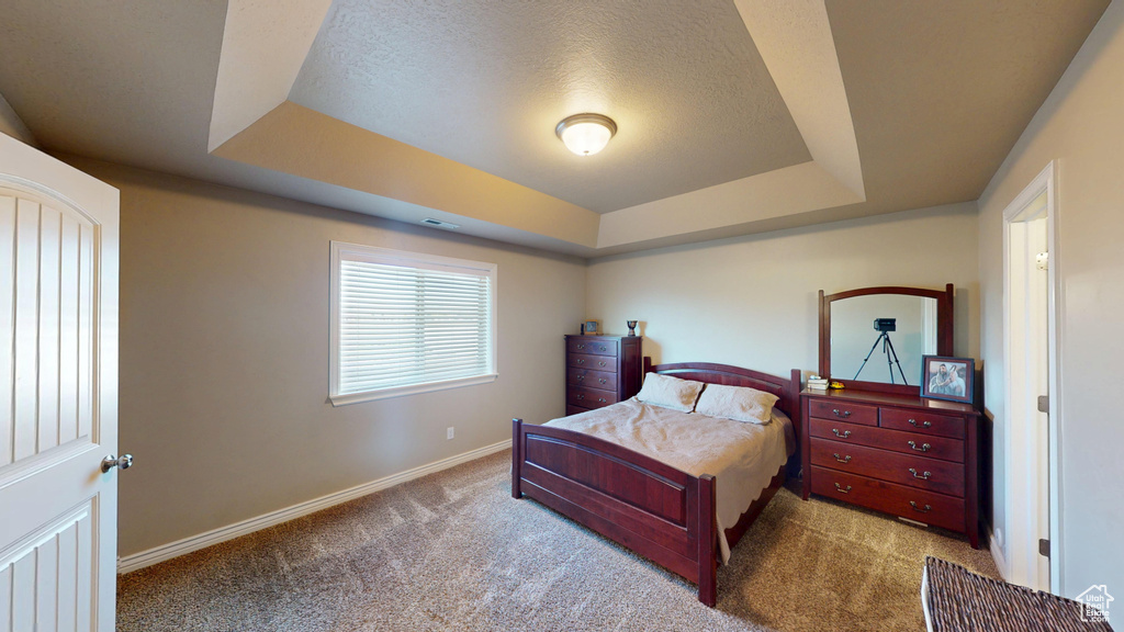 Bedroom featuring a tray ceiling, carpet, baseboards, and a textured ceiling