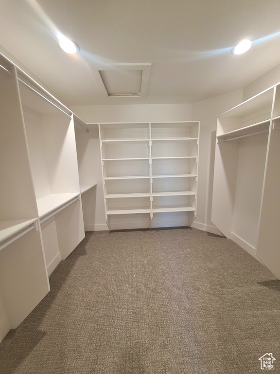 Spacious closet featuring carpet