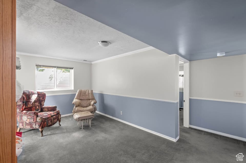 Living area with carpet floors, baseboards, crown molding, and a textured ceiling