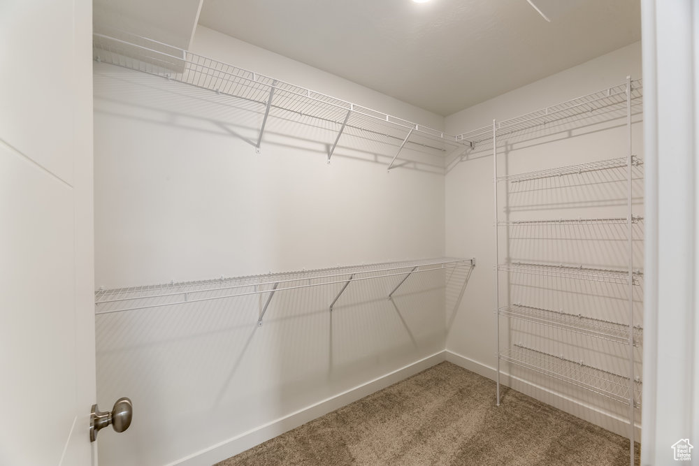 Walk in closet with carpet