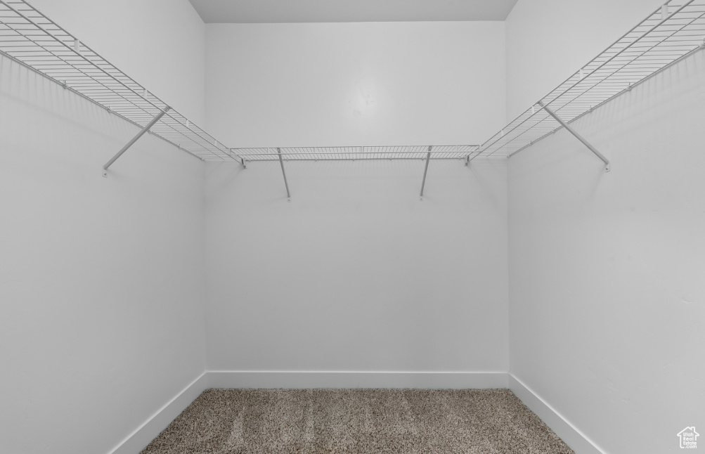 Walk in closet with carpet flooring