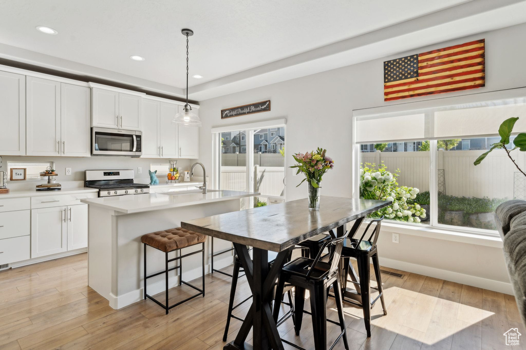Kitchen featuring appliances with stainless steel finishes, recessed lighting, a sink, light countertops, and light wood-type flooring
