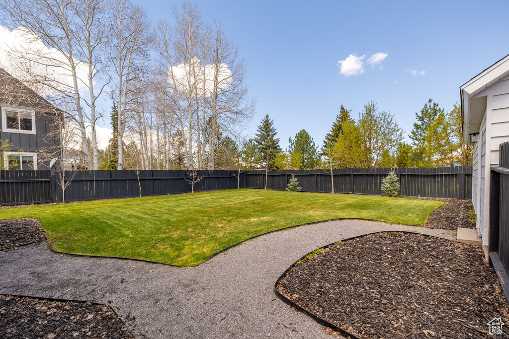 View of yard