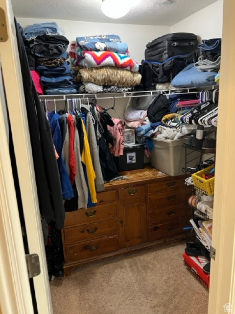 Walk in closet with light carpet
