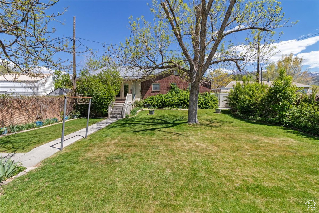 View of yard