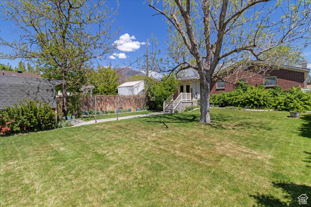 View of grassy yard