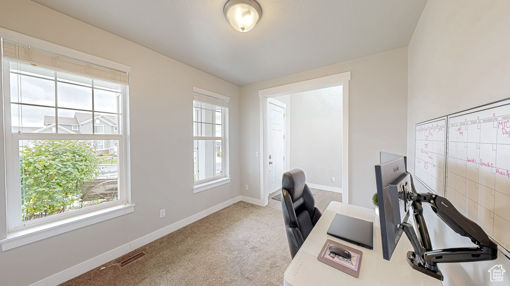 Carpeted home office featuring plenty of natural light and baseboards