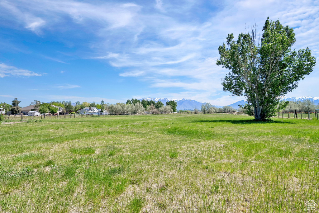 View of yard with a view of rural / pastoral area and a mountain view
