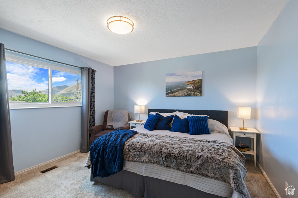 Bedroom with carpet flooring and baseboards