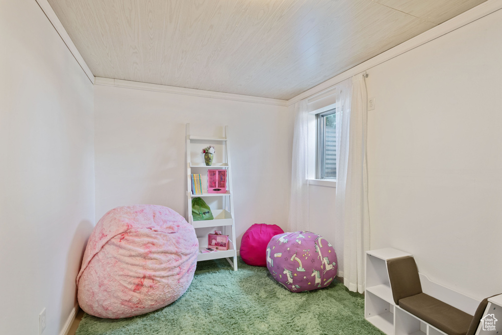 Playroom featuring carpet floors and crown molding