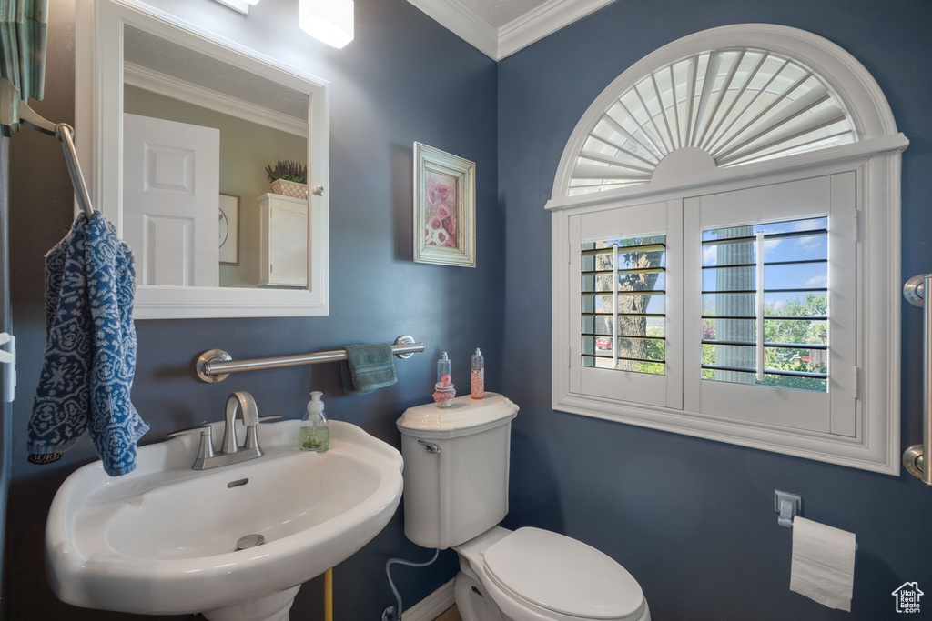 Bathroom featuring a sink, healthy amount of natural light, toilet, and crown molding