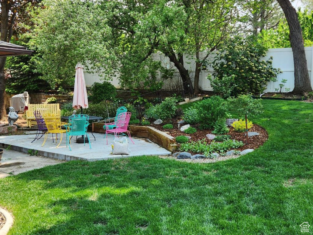 View of yard featuring a patio
