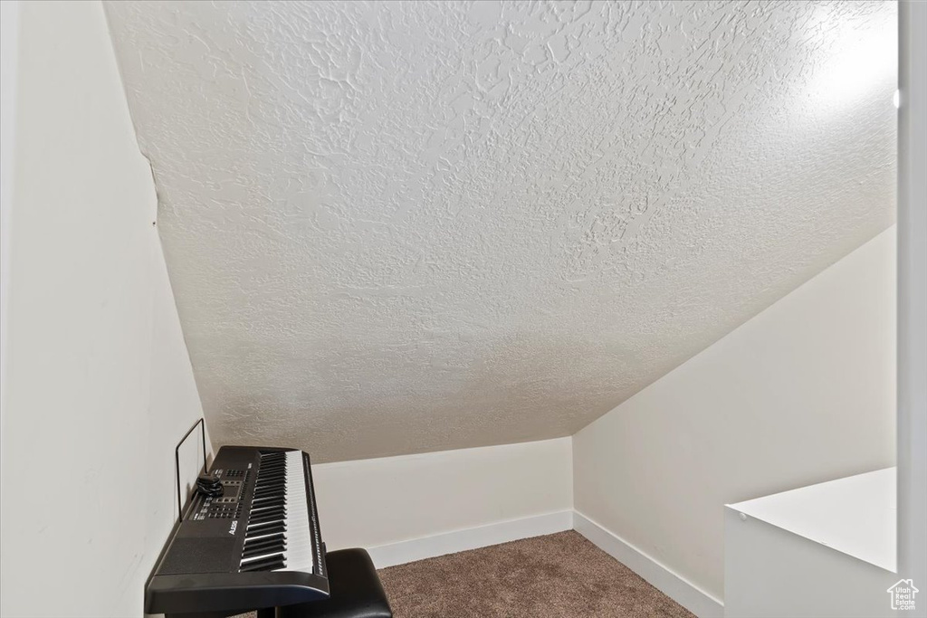Spacious closet with carpet flooring and lofted ceiling