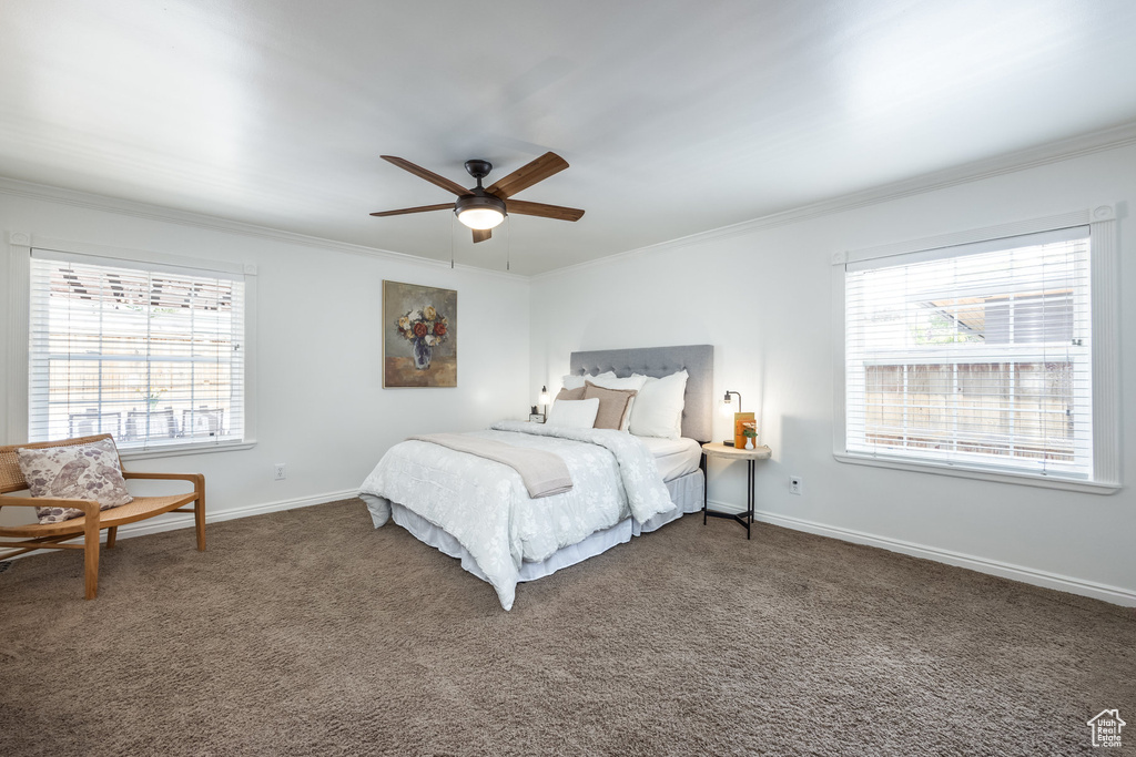 Bedroom with multiple windows, ornamental molding, carpet, baseboards, and ceiling fan