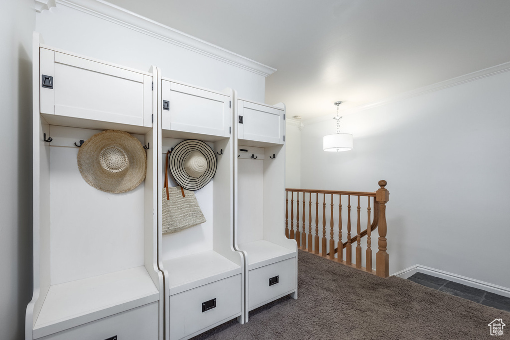 Mudroom with crown molding and dark colored carpet