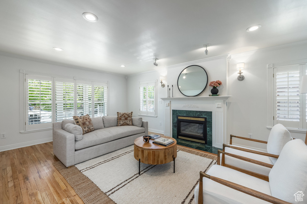 Living area with ornamental molding, baseboards, a high end fireplace, wood finished floors, and recessed lighting