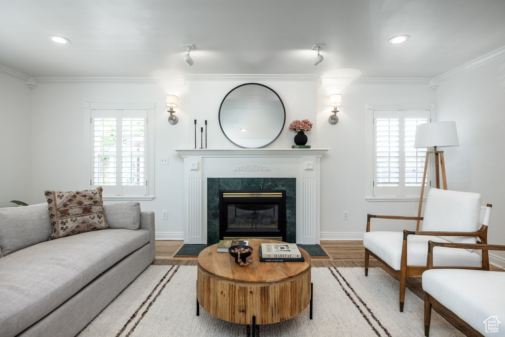 Living area featuring wood finished floors, a fireplace, ornamental molding, baseboards, and recessed lighting