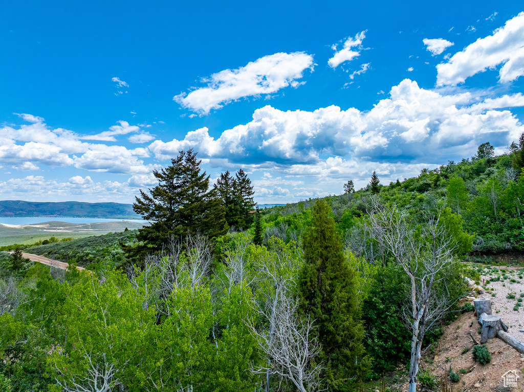 3431 S PANORAMA DR Garden City, UT 84028