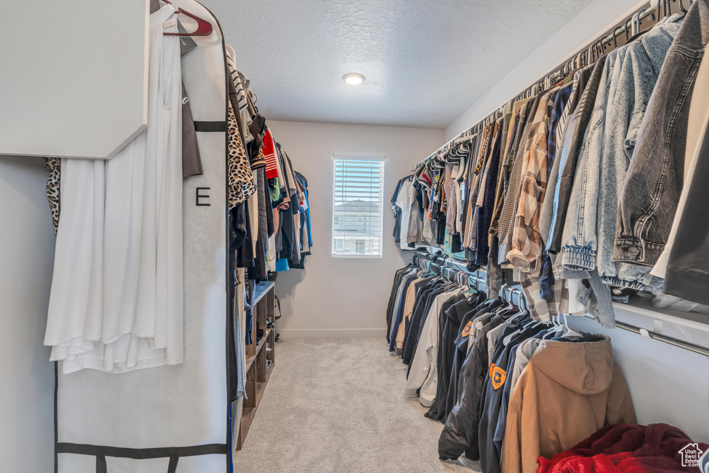 Spacious closet featuring carpet flooring
