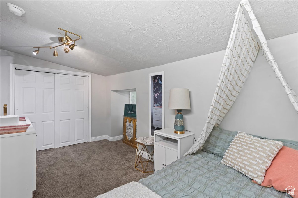 Carpeted bedroom featuring lofted ceiling, a textured ceiling, a closet, and baseboards