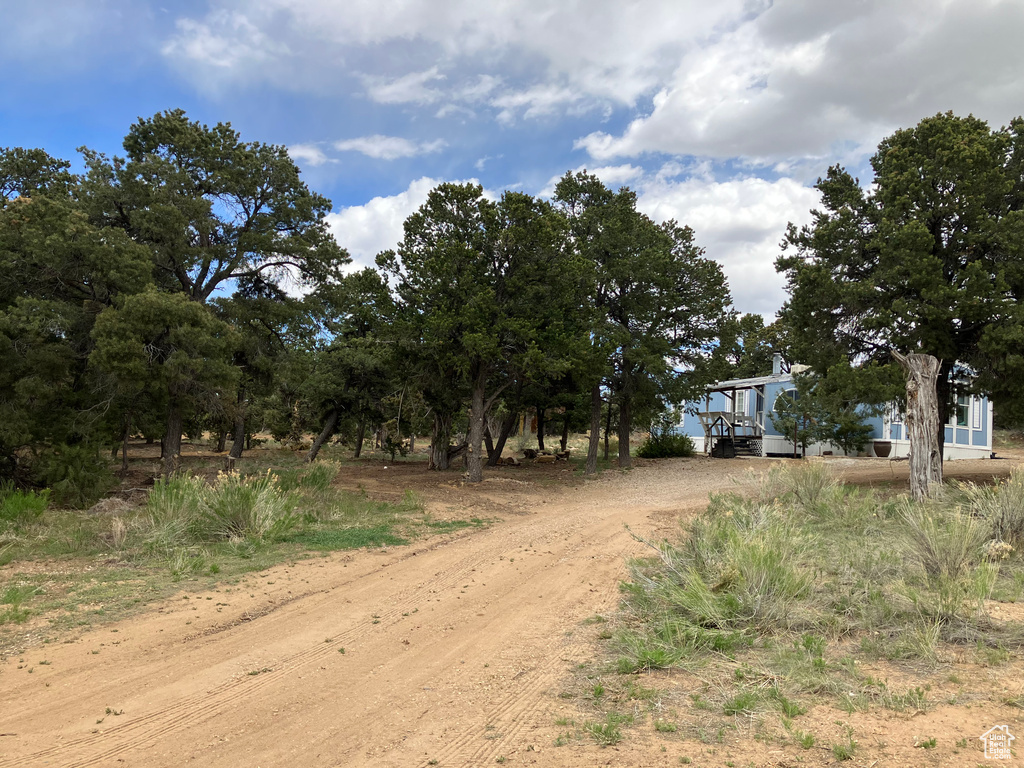 View of dirt / gravel driveway