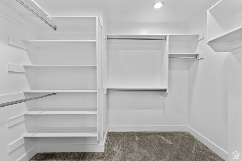 Spacious closet featuring carpet flooring