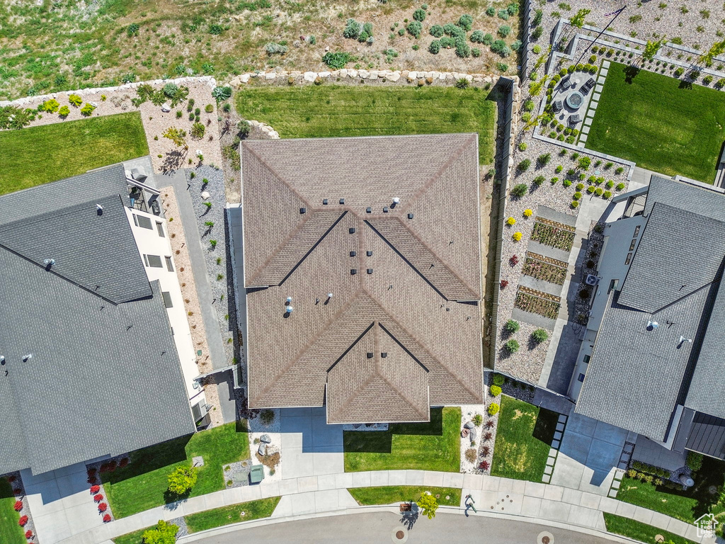 Bird\'s eye view