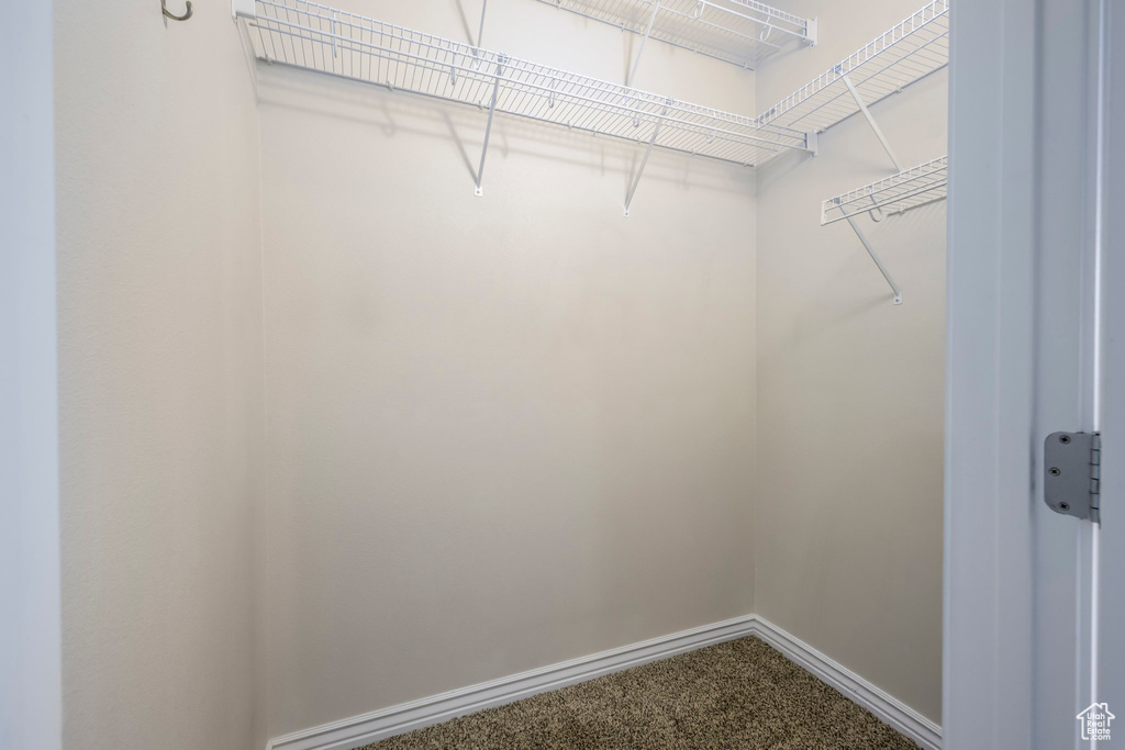 Walk in closet featuring carpet flooring
