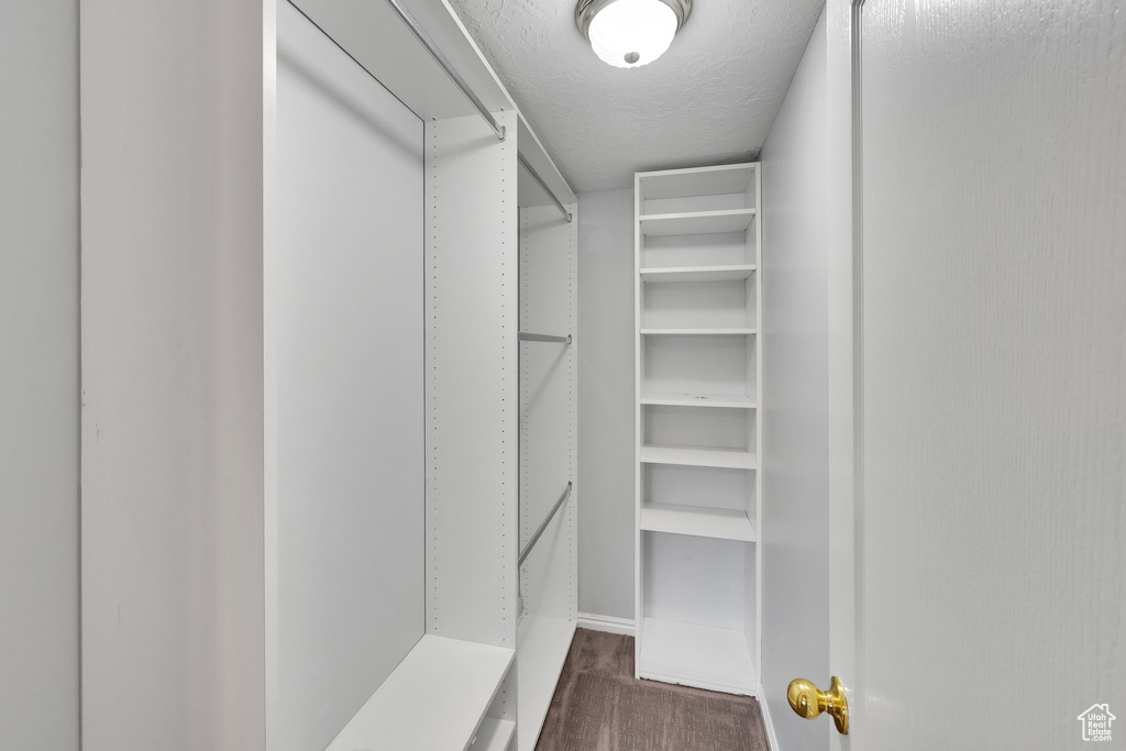 Spacious closet featuring dark wood finished floors
