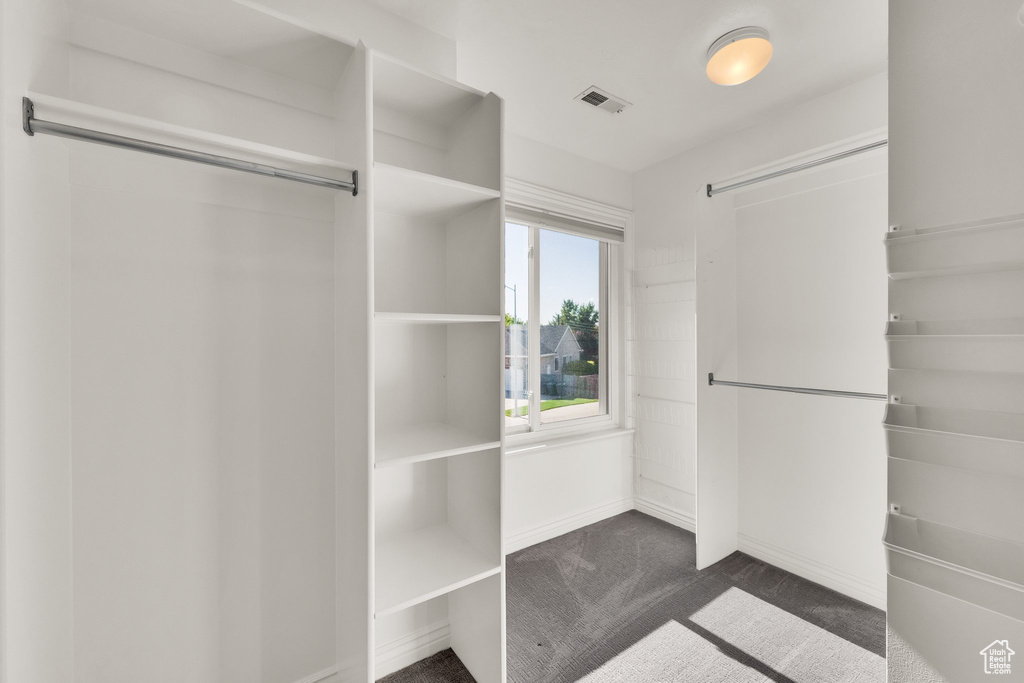 Spacious closet featuring dark carpet
