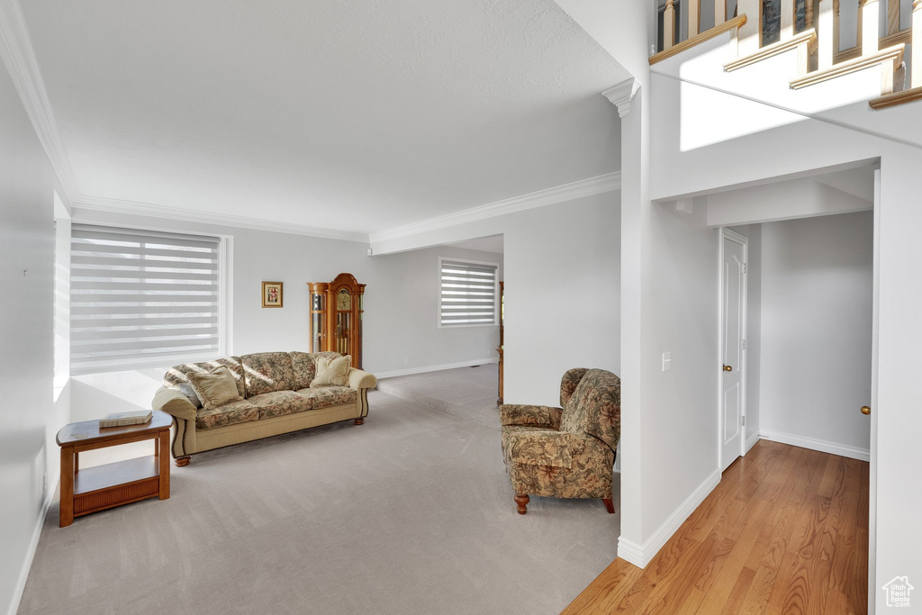 Living area featuring crown molding and baseboards