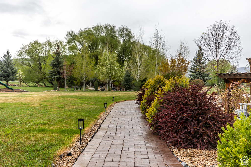 View of home's community with a yard