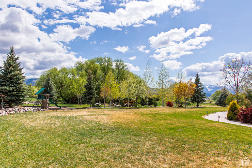 View of grassy yard