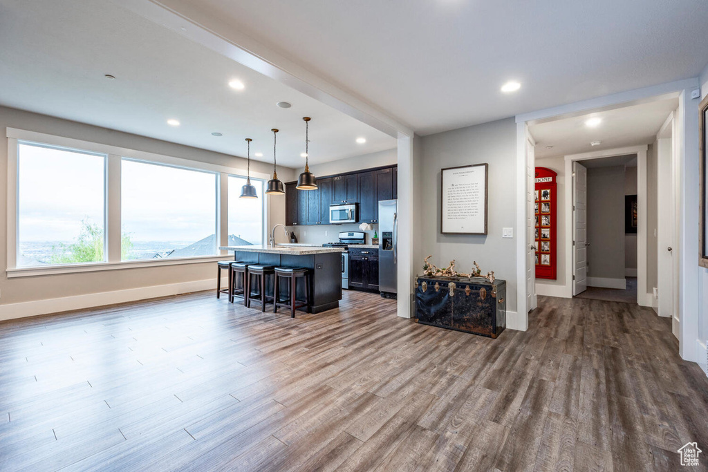 Kitchen with stainless steel appliances, wood finished floors, an island with sink, light countertops, and recessed lighting