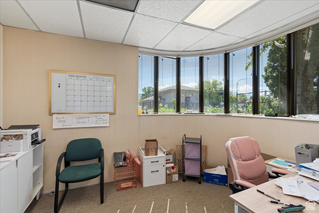 Carpeted home office featuring a paneled ceiling