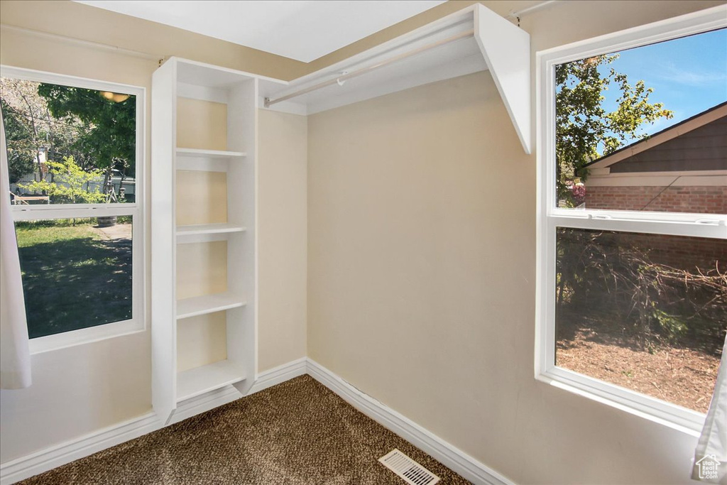 Spacious closet with dark colored carpet