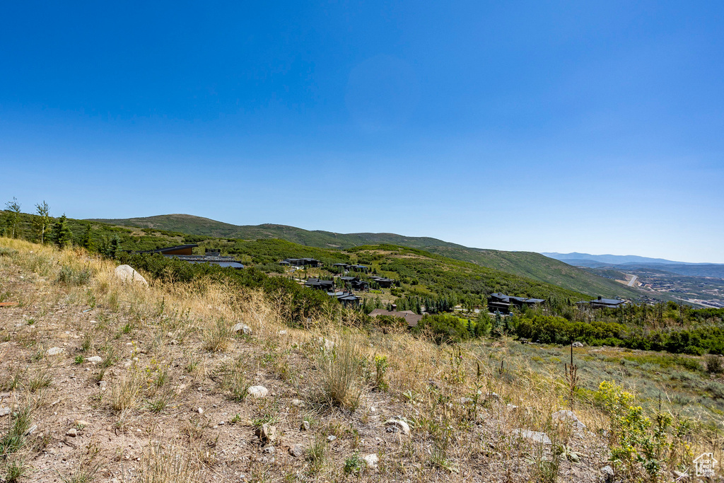 Mountain view
