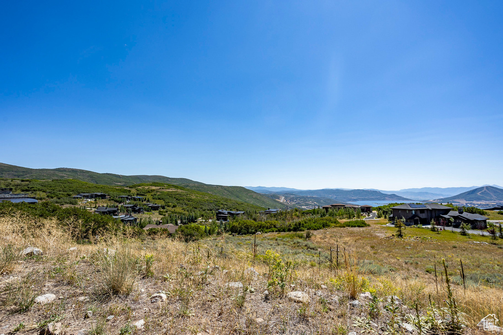 Mountain view