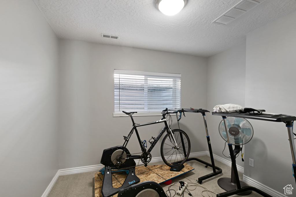 Exercise room featuring a textured ceiling, carpet, and baseboards