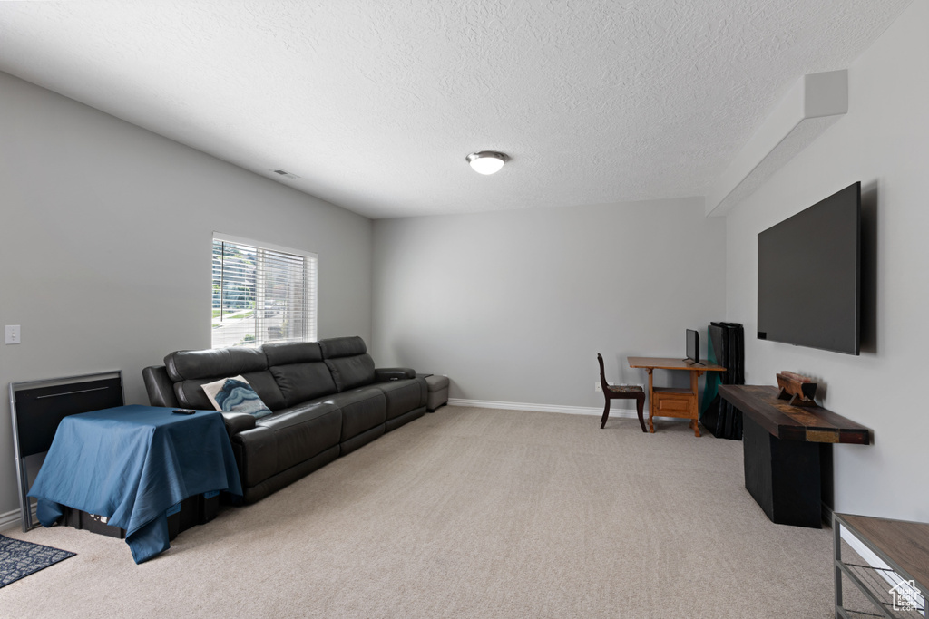 Carpeted living room featuring a textured ceiling and baseboards