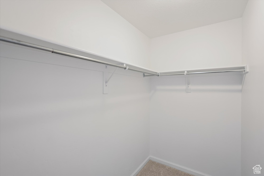 Spacious closet featuring carpet flooring