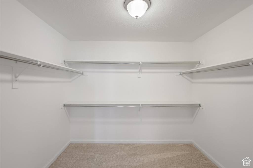 Walk in closet featuring light colored carpet