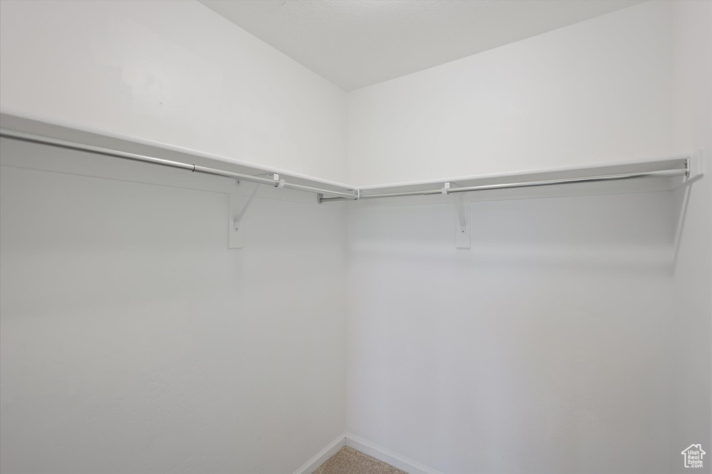 Walk in closet with carpet floors