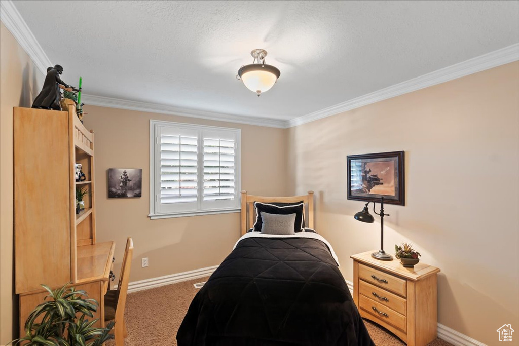 Carpeted bedroom with crown molding and baseboards