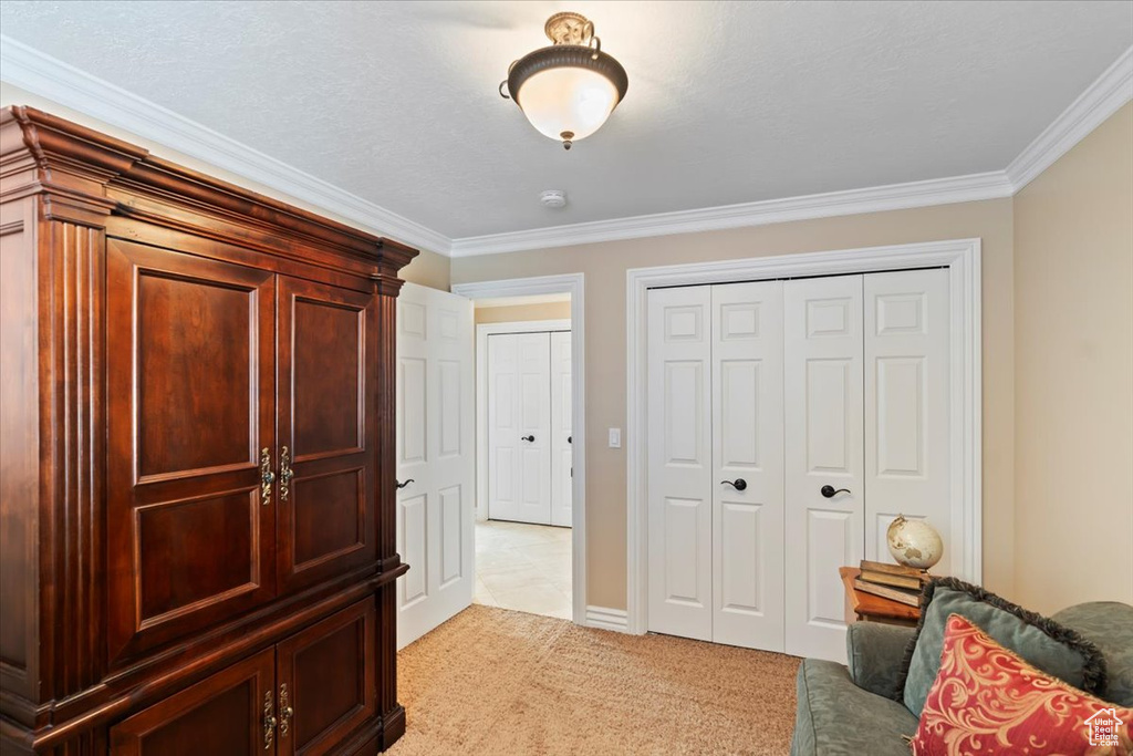 Living area with crown molding, light carpet, and baseboards