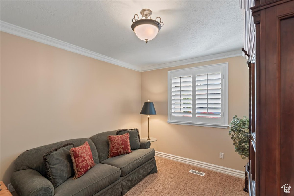 Carpeted living area with ornamental molding and baseboards