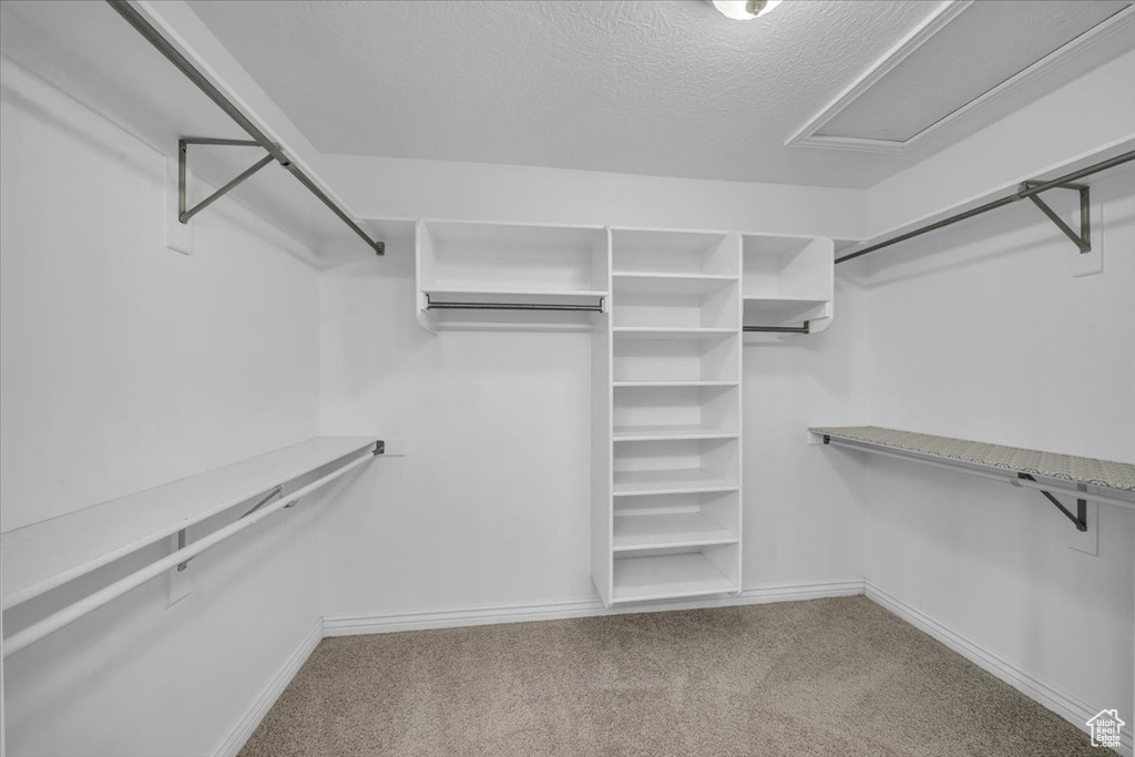Walk in closet with carpet floors