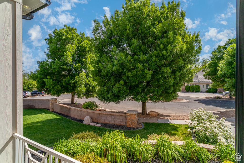 View of grassy yard