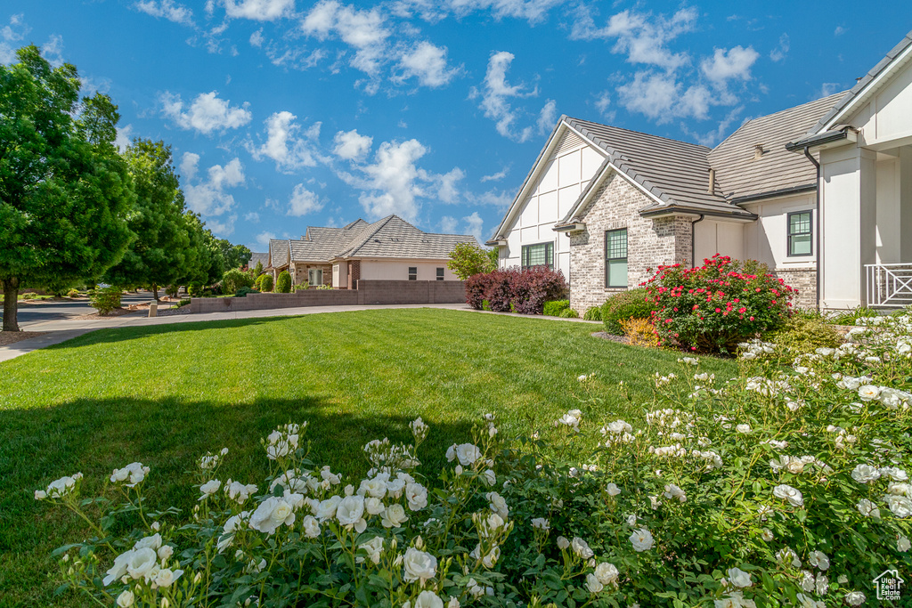 View of grassy yard